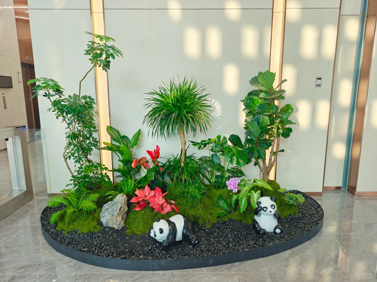 专业奉化绿植租赁，为您的场所注入生机与活力